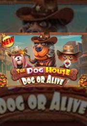 Bocoran RTP The Dog House – Dog or Alive di Shibatoto Generator RTP Terbaik dan Terlengkap